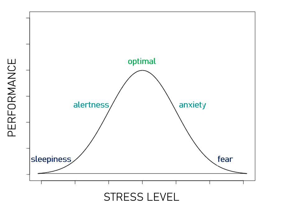 Read more about the article Driver performance and stress level